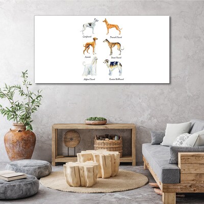 Breeds of dogs of the chrts Canvas print