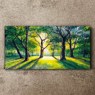 Golden rays in the forest grove Canvas Wall art