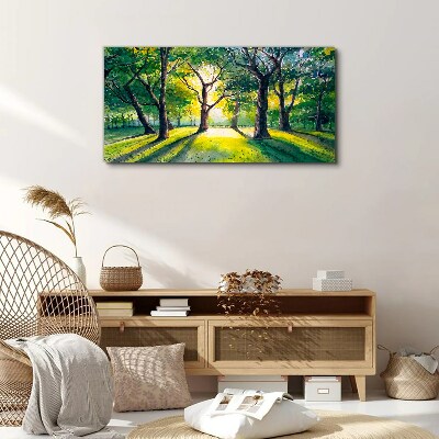 Golden rays in the forest grove Canvas Wall art