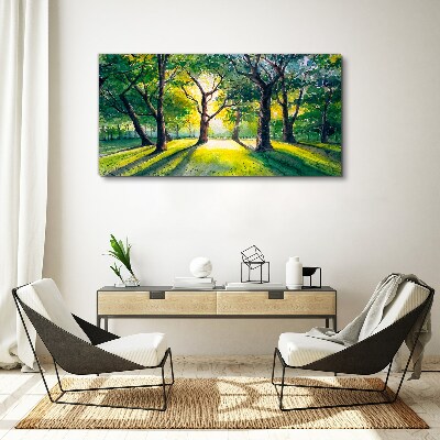 Golden rays in the forest grove Canvas Wall art