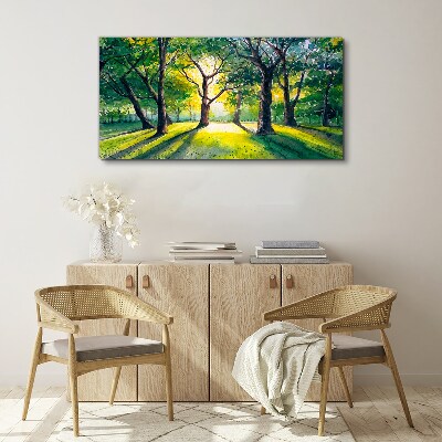 Golden rays in the forest grove Canvas Wall art