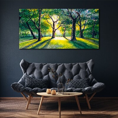 Golden rays in the forest grove Canvas Wall art