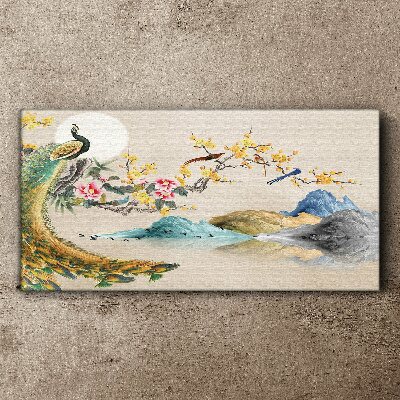 Peacock in Blooming Landscape Canvas Wall art