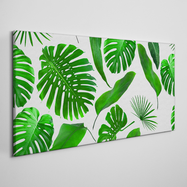 Tropical green in leaves Canvas print