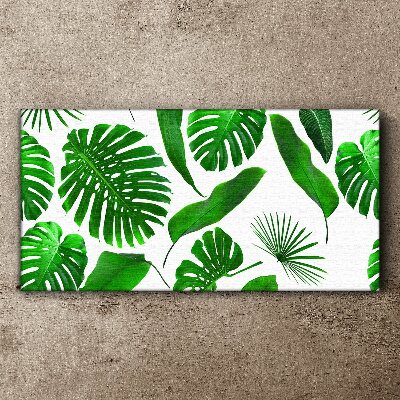 Tropical green in leaves Canvas print
