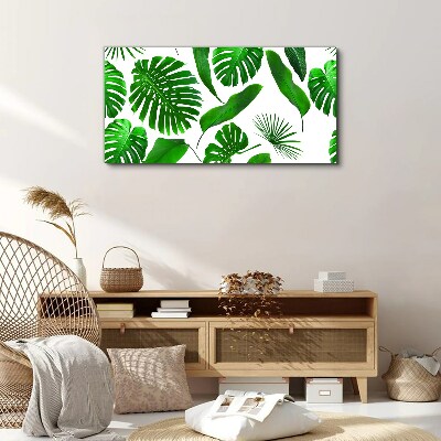Tropical green in leaves Canvas print