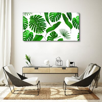 Tropical green in leaves Canvas print