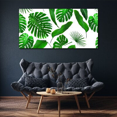 Tropical green in leaves Canvas print