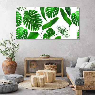 Tropical green in leaves Canvas print