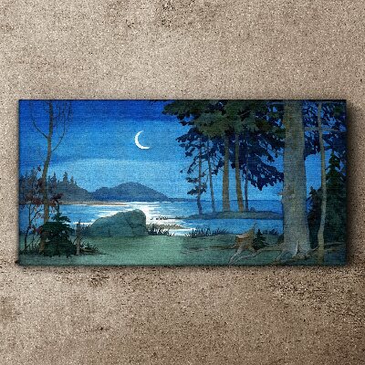 Night landscape over the water Canvas print