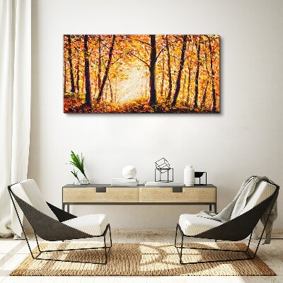 Golden autumn in the forest Canvas Wall art