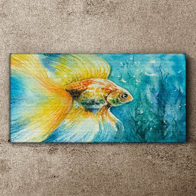 Goldfish in colored water Canvas print