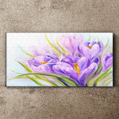 Flowers plants nature Canvas Wall art