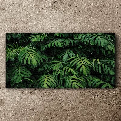 Green jungle Canvas print