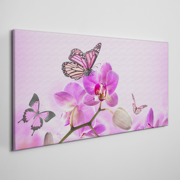 Nature flowers butterfly Canvas Wall art