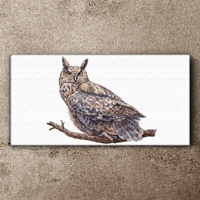 Owl on a branch Canvas print