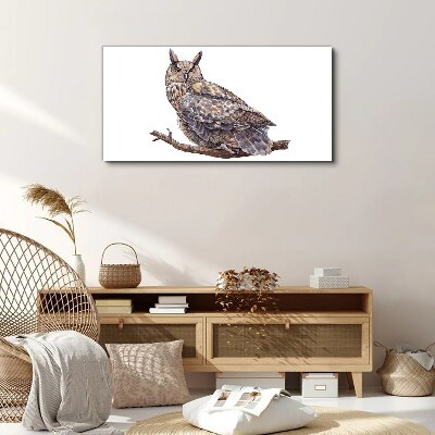 Owl on a branch Canvas print