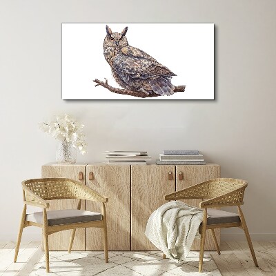 Owl on a branch Canvas print