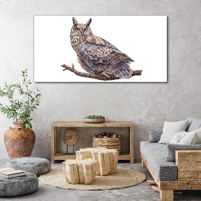 Owl on a branch Canvas print