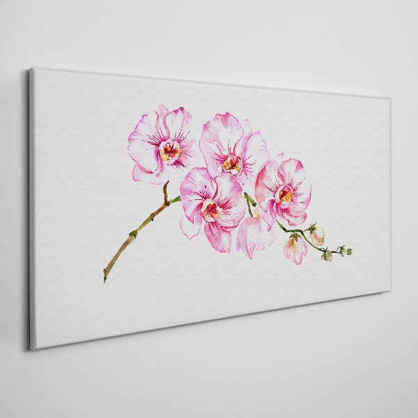 Pink orchids on a white background Canvas print