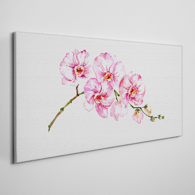 Pink orchids on a white background Canvas print