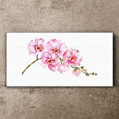 Pink orchids on a white background Canvas print