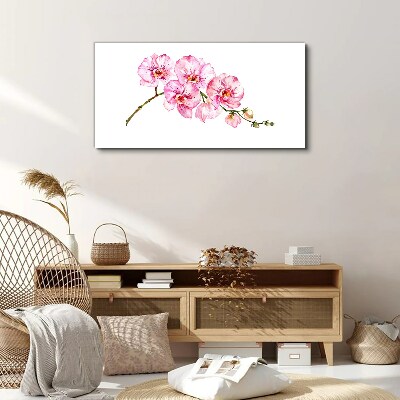 Pink orchids on a white background Canvas print