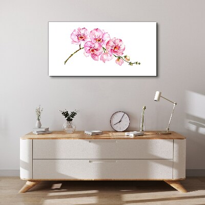 Pink orchids on a white background Canvas print