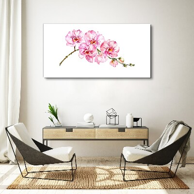 Pink orchids on a white background Canvas print