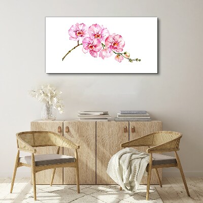 Pink orchids on a white background Canvas print