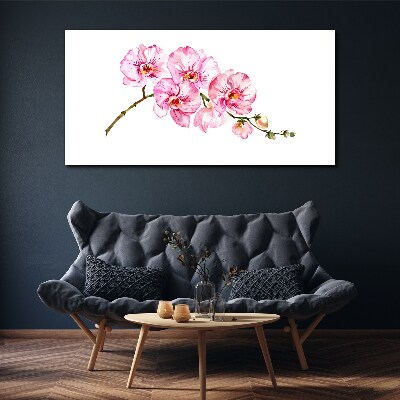 Pink orchids on a white background Canvas print