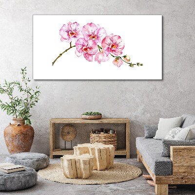 Pink orchids on a white background Canvas print