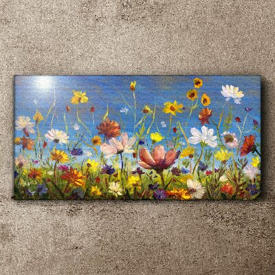 Flower landscape on a sunny day Canvas print