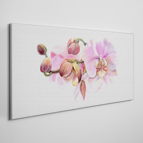 Watercolor orchid flower Canvas print