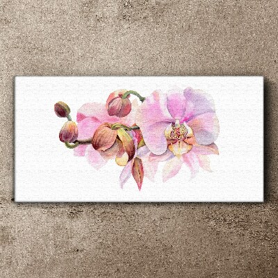 Orchid in pastel shades Canvas print