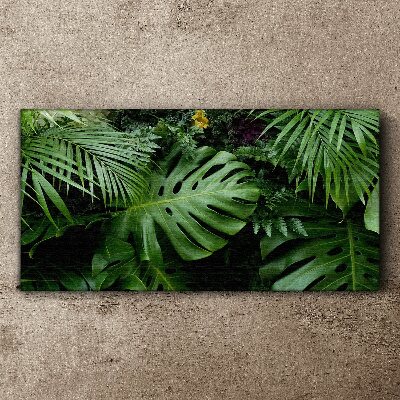 Tropical greenery in the depths of nature Canvas print