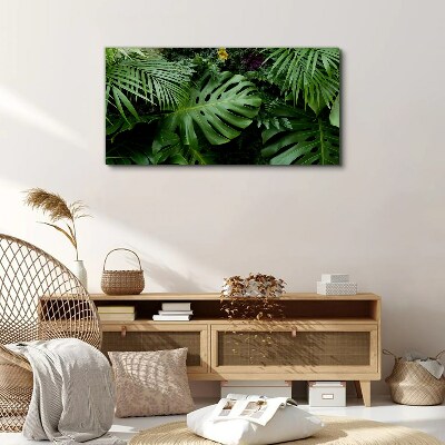 Tropical greenery in the depths of nature Canvas print