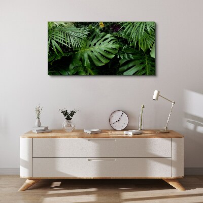 Tropical greenery in the depths of nature Canvas print