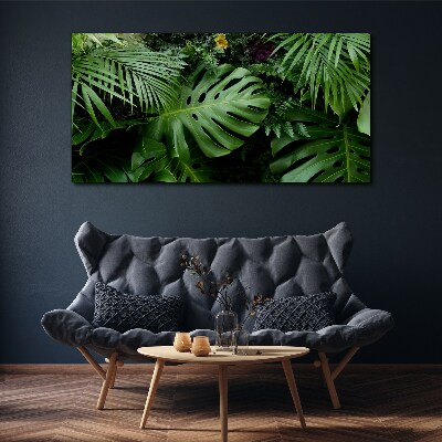 Tropical greenery in the depths of nature Canvas print