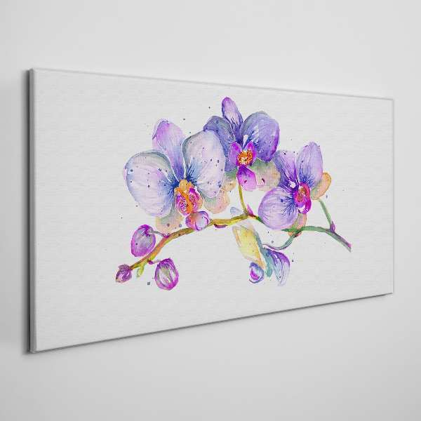 The floral beauty of orchids Canvas print