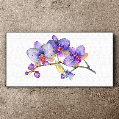 The floral beauty of orchids Canvas print