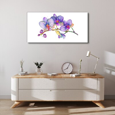 The floral beauty of orchids Canvas print