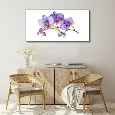 The floral beauty of orchids Canvas print