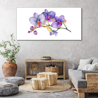 The floral beauty of orchids Canvas print