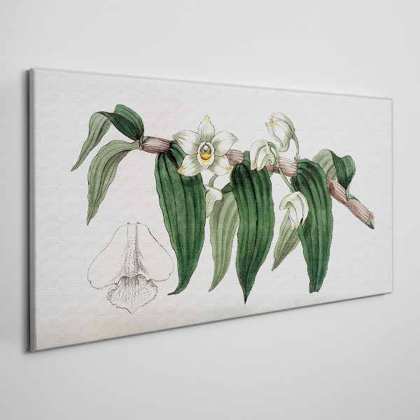 Figure orchid flower branch Canvas print