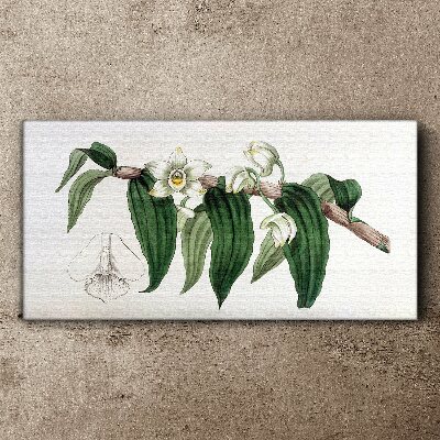 Floral arrangement with leaves Canvas print