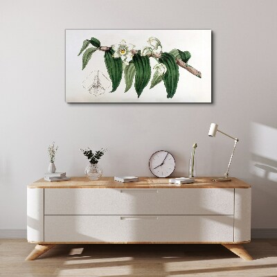 Floral arrangement with leaves Canvas print