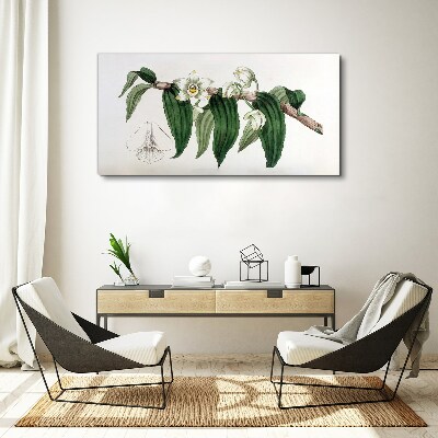 Floral arrangement with leaves Canvas print