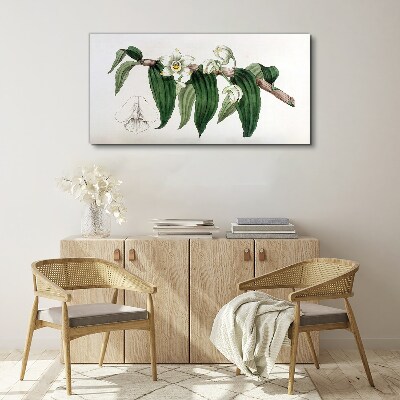 Figure orchid flower branch Canvas print