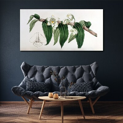 Floral arrangement with leaves Canvas print